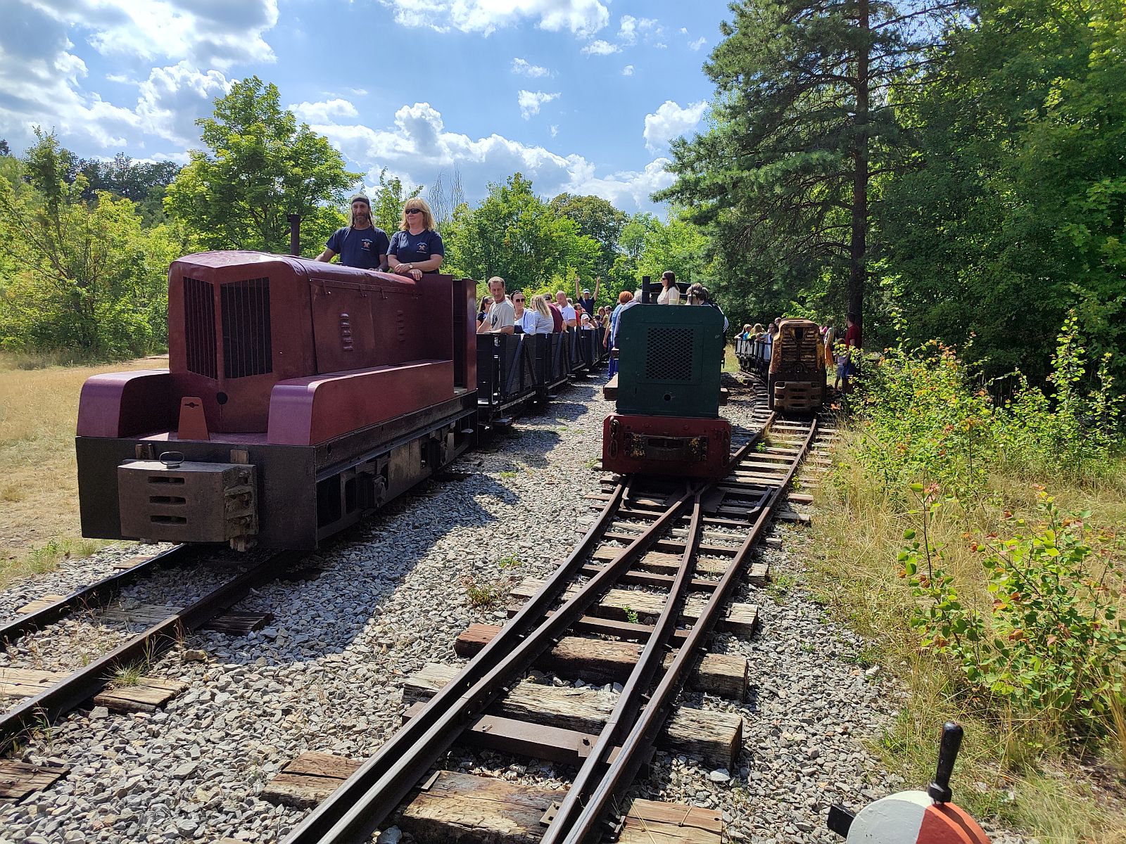 29